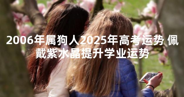 2006年属狗人2025年高考运势 佩戴紫水晶提升学业运势